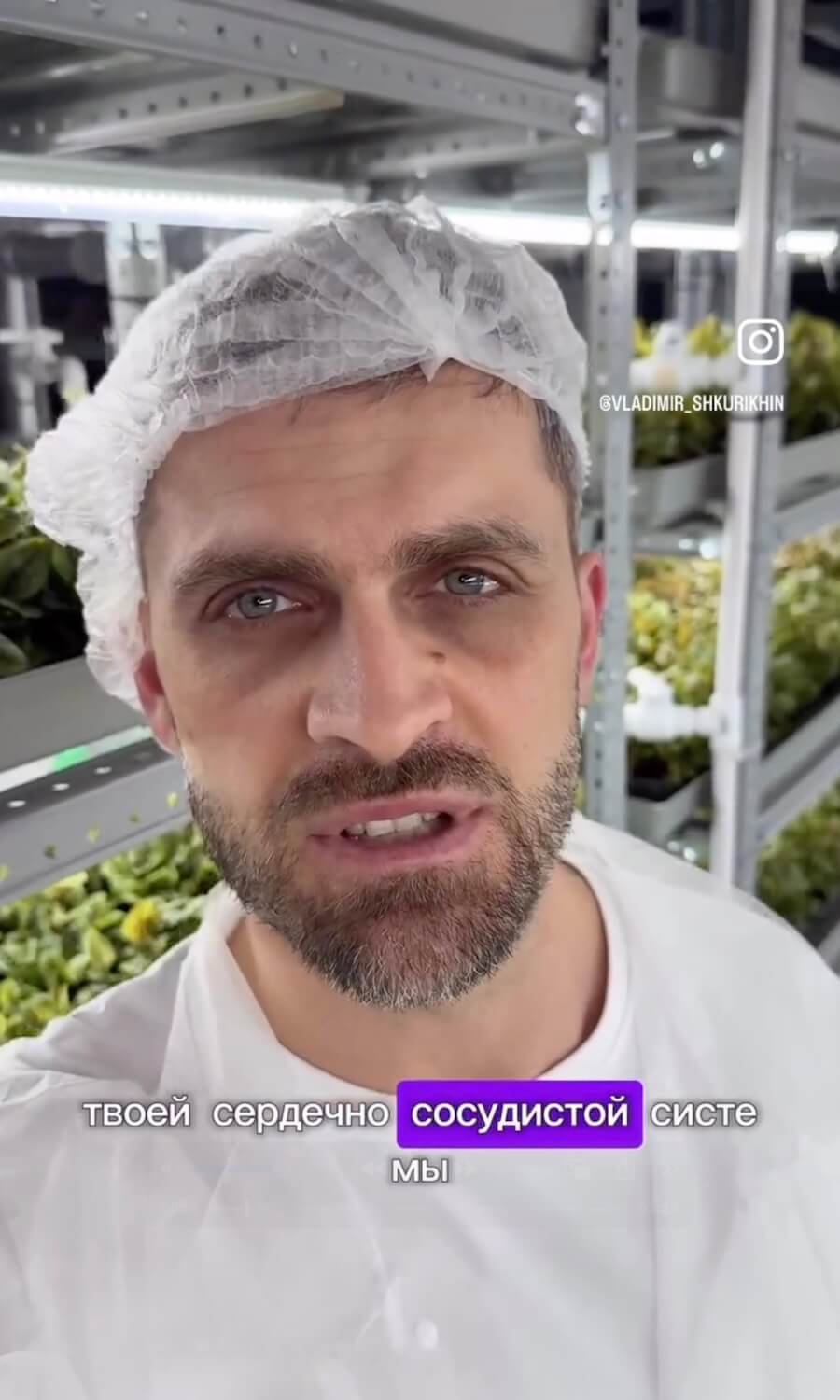 Именно Сыродавленное, живое масло Рыжика - самый сильный и сбалансированный источник ОМЕГА 3-6-9